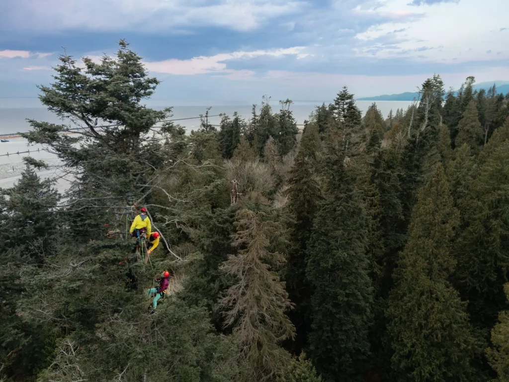 DJI_20250322191632_0199_D-Edit